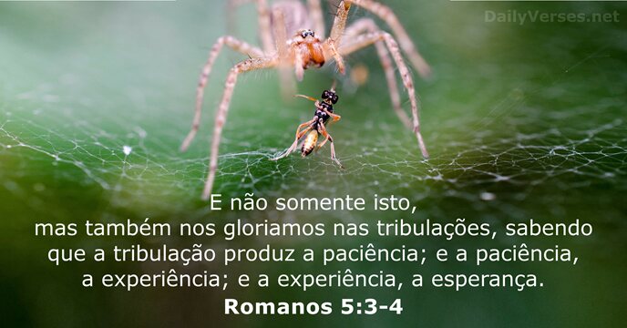 Romanos 5:3-4