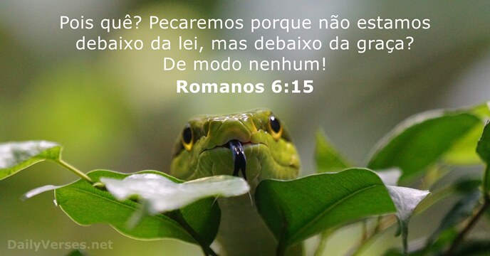 Pois quê? Pecaremos porque não estamos debaixo da lei, mas debaixo da… Romanos 6:15