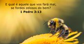 1 Pedro 3:13