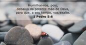 1 Pedro 5:6