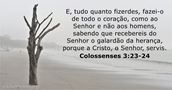 Colossenses 3:23-24