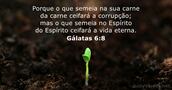 Gálatas 6:8
