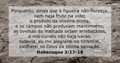 Habacuque 3:17-18