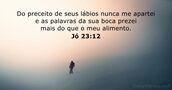 Jó 23:12