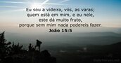 João 15:5