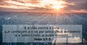 João 17:3