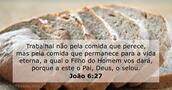 João 6:27