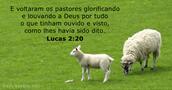Lucas 2:20