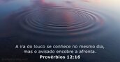 Provérbios 12:16
