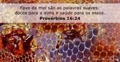 Provérbios 16:24