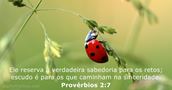 Provérbios 2:7