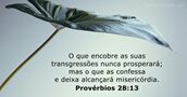 Provérbios 28:13