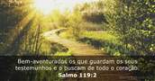 Salmo 119:2