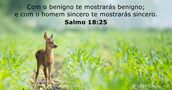 Salmo 18:25