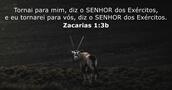 Zacarias 1:3b