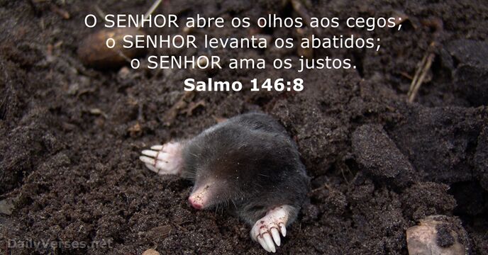 Salmo 146:8