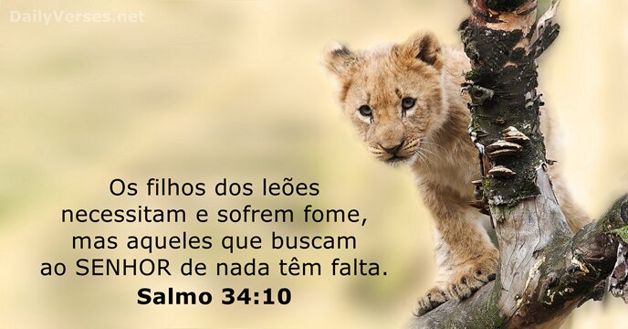 Os filhos dos leões necessitam e sofrem fome, mas aqueles que buscam… Salmo 34:10