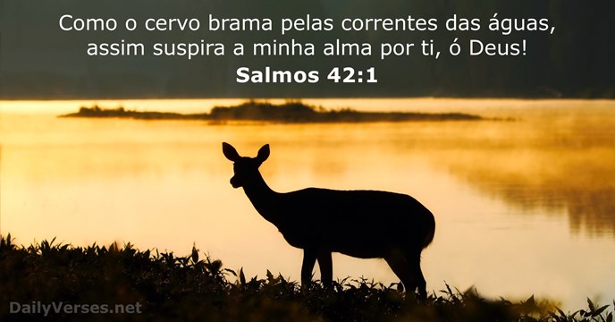 Como o cervo brama pelas correntes das águas, assim suspira a minha… Salmo 42:1