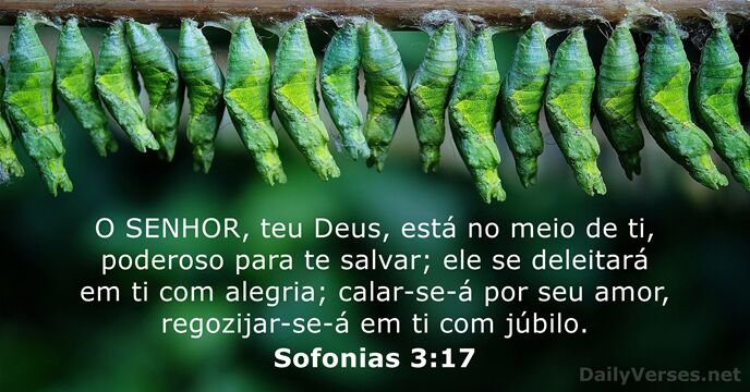 O SENHOR, teu Deus, está no meio de ti, poderoso para te… Sofonias 3:17