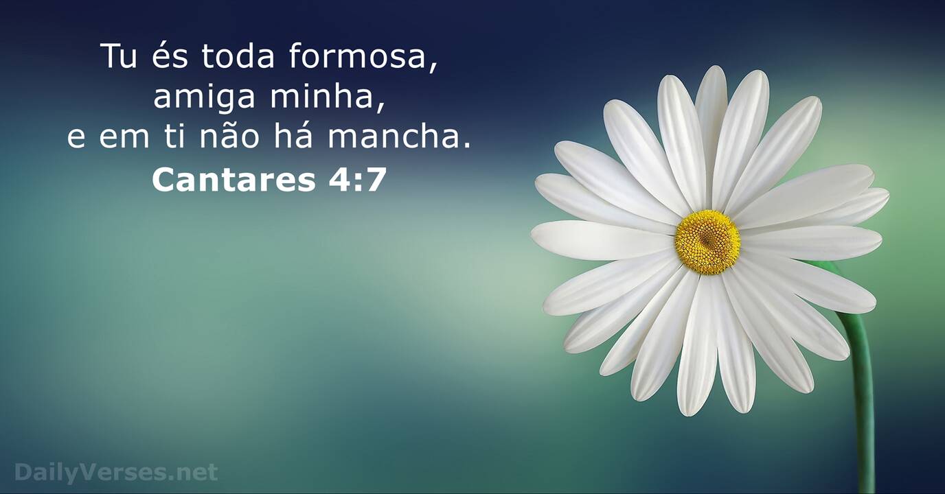 Provérbios 4:7 - Versículo da Bíblia 