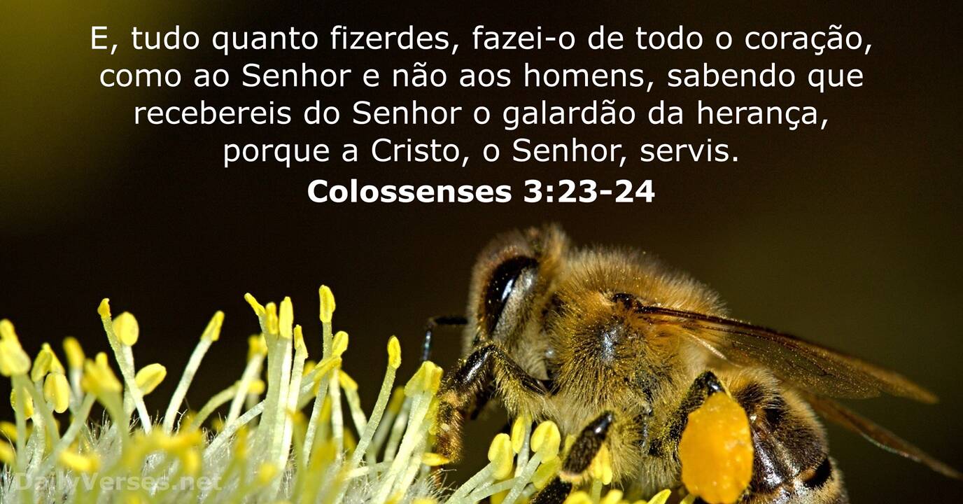 Colossenses 3:23-24 Tudo o que fizerem, façam de todo o coração, como para  o Senhor, não para os homens, sabendo que receberão do Senhor a recompensa  da herança, pois é a Cristo