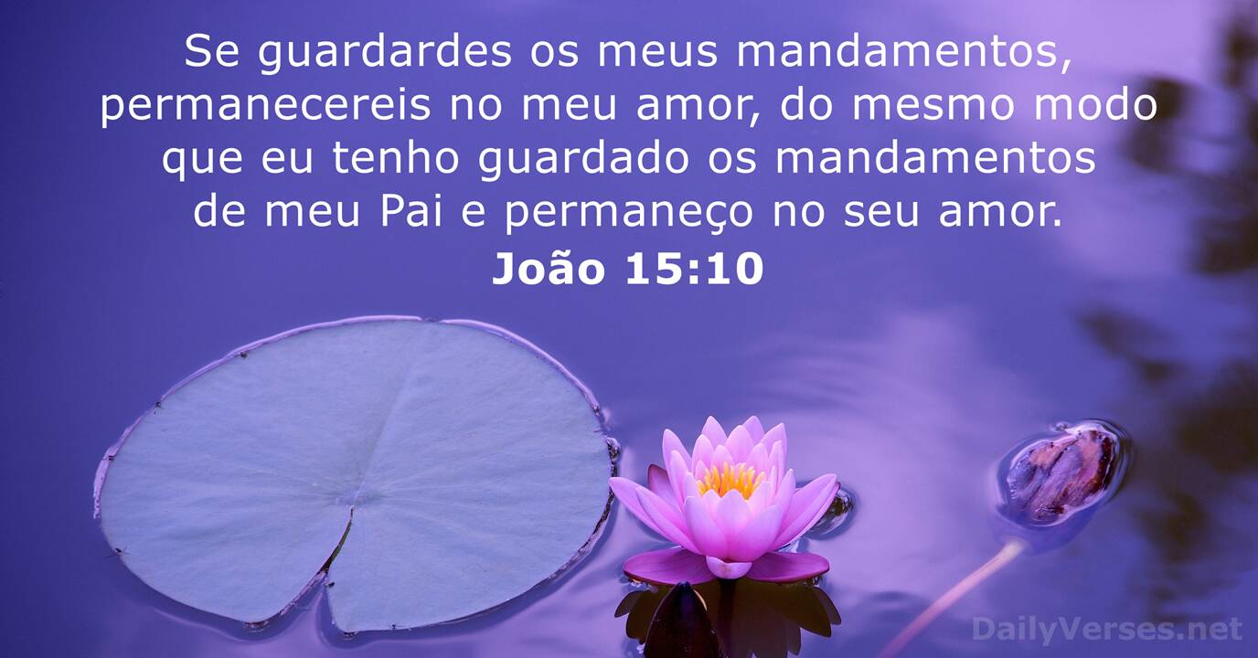 João 10:14-15 » Iluminalma