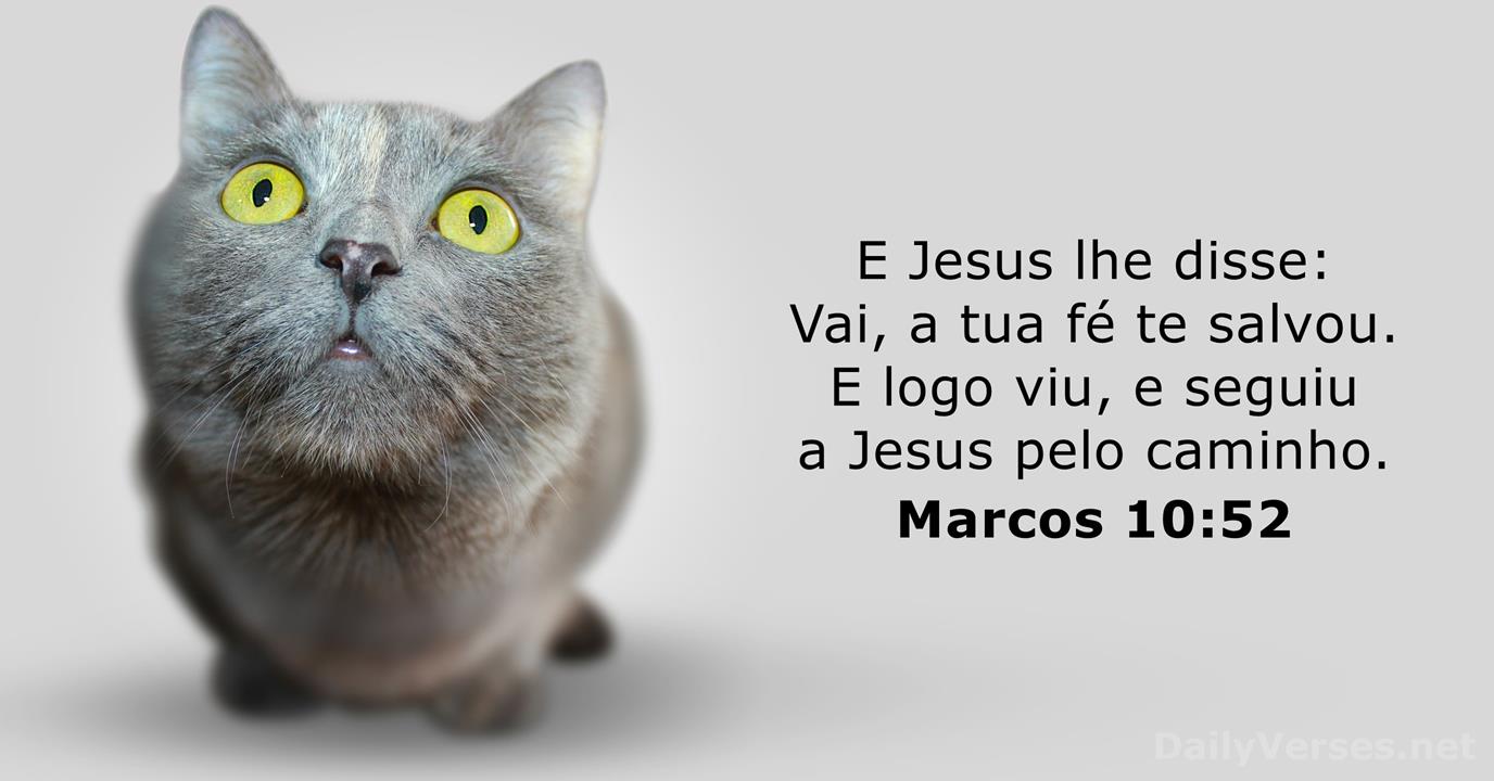 Marcos 6:10-12 - Bíblia