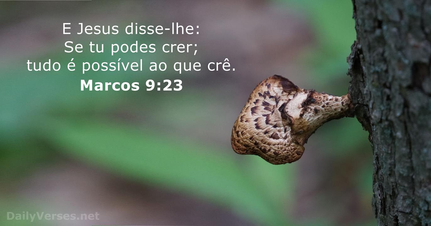 📖 BÍBLIA SAGRADA / O VERBO on X: E Jesus disse-lhe: Se tu podes crer,  tudo é possível ao que crê. Marcos 9:23 #JesusTeAma #Graça #BomDia  #Primavera  / X