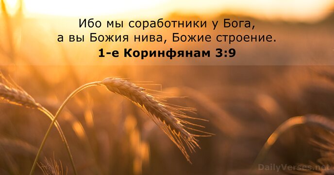 Ибо мы соработники у Бога, а вы Божия нива, Божие строение. 1-е Коринфянам 3:9
