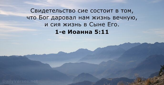 Свидетельство сие состоит в том, что Бог даровал нам жизнь вечную, и… 1-е Иоанна 5:11