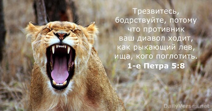 Трезвитесь, бодрствуйте, потому что противник ваш диавол ходит, как рыкающий лев, ища, кого поглотить. 1-е Петра 5:8