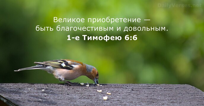 Великое приобретение — быть благочестивым и довольным. 1-е Тимофею 6:6