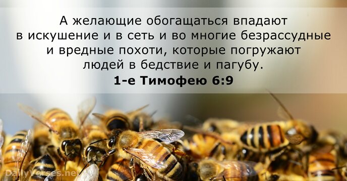 1-е Тимофею 6:9