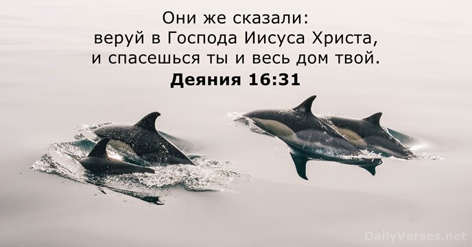 Они же сказали: веруй в Господа Иисуса Христа, и спасешься ты и… Деяния 16:31