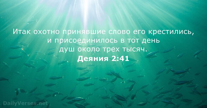 Итак охотно принявшие слово его крестились, и присоединилось в тот день душ… Деяния 2:41