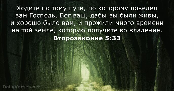 Ходите по тому пути, по которому повелел вам Господь, Бог ваш, дабы… Второзаконие 5:33