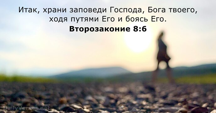 Второзаконие 8:6