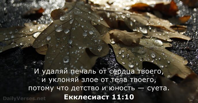 Екклесиаст 11:10