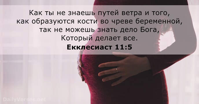 Екклесиаст 11:5