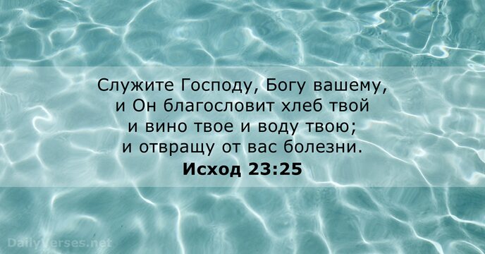 Служите Господу, Богу вашему, и Он благословит хлеб твой и вино твое… Исход 23:25