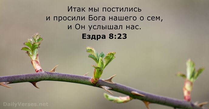 Ездра 8:23