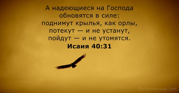 А надеющиеся на Господа обновятся в силе: поднимут крылья, как орлы, потекут… Исаия 40:31