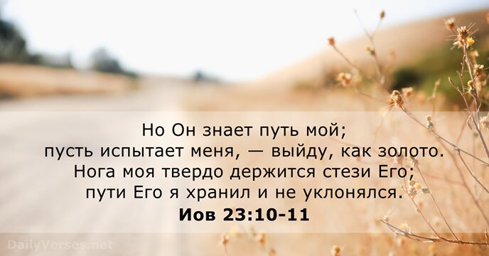 Но Он знает путь мой; пусть испытает меня, — выйду, как золото… Иов 23:10-11
