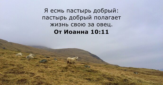 От Иоанна 10:11