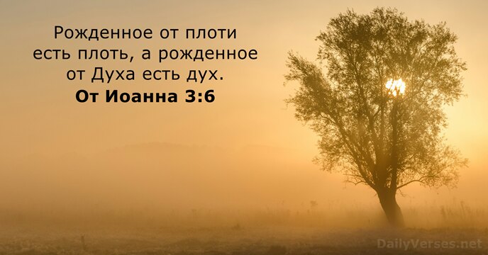 От Иоанна 3:6