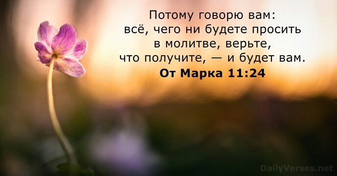 Потому говорю вам: всё, чего ни будете просить в молитве, верьте, что… От Марка 11:24