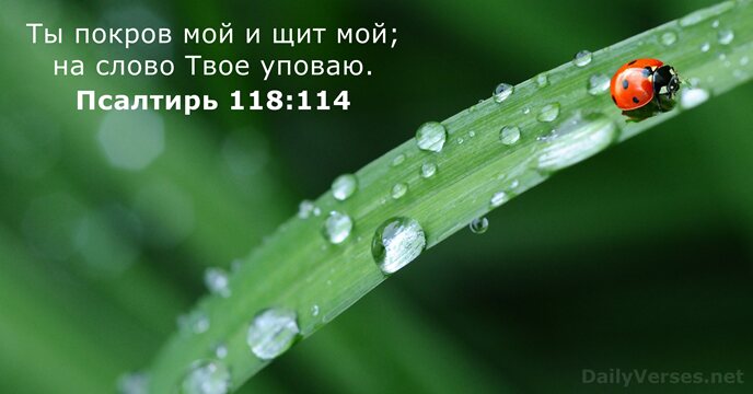 Псалтирь 118:114