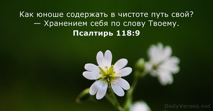 Псалтирь 118:9