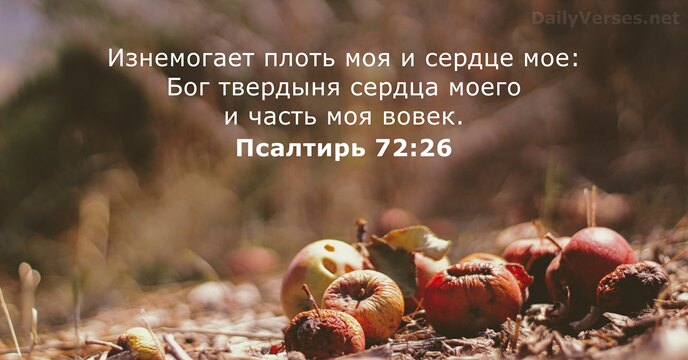 Псалтирь 72:26