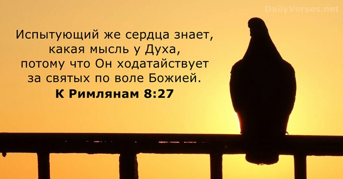К Римлянам 8:27